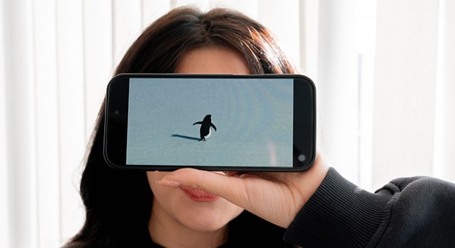 'Nihilist penguen'e kendi yalnızlığımızı yükledik'