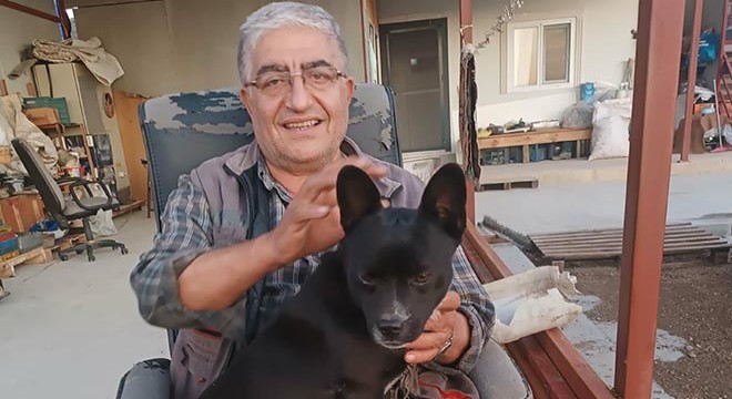 Ölen kamyonet sürücüsünün kardeşi: Umarım son olur
