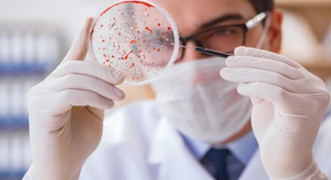 30 yıl sonra yeniden hortladı, Avrupa alarma geçti