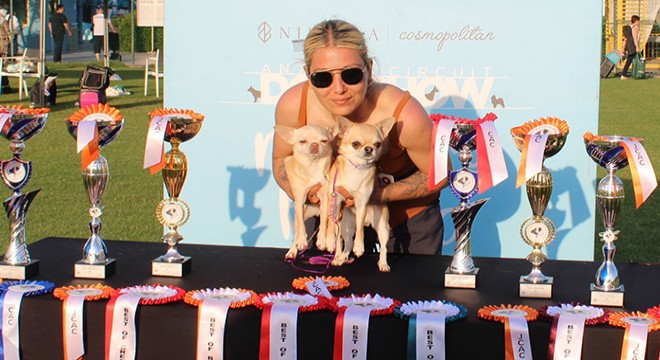 Aladar, 1500 köpek arasında Türkiye şampiyonu oldu