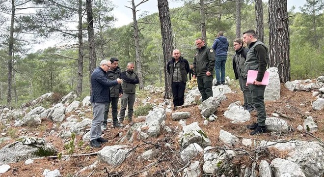 Antalya Orman Bölge Müdürü Kayıran çalışmaları inceledi
