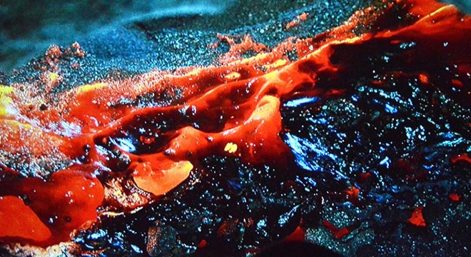 Antalya'da Acar'dan çok özel kareler