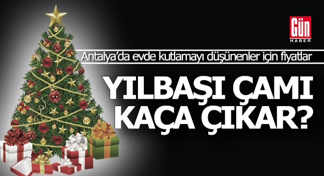 Antalya'da bir yılbaşı çamı süslemeleriyle kaça para?..
