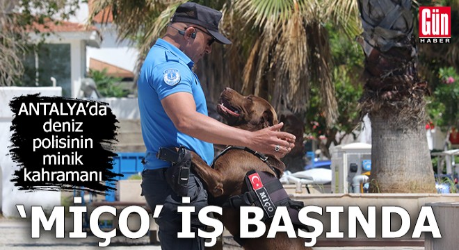 Antalya'da deniz polisinin minik kahramanı 'Miço' iş başında