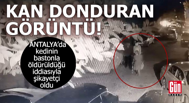 Antalya'da kan donduran görüntü!
