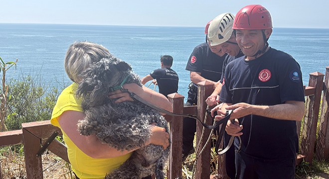 Antalya'da kedi kovalarken falezlerden düşen köpek kurtarıldı