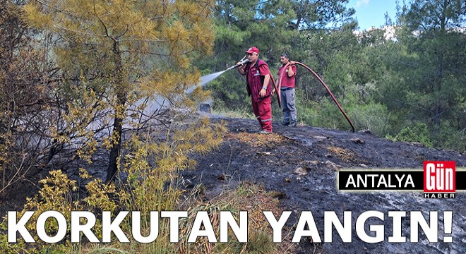 Antalya'da korkutan orman yangını