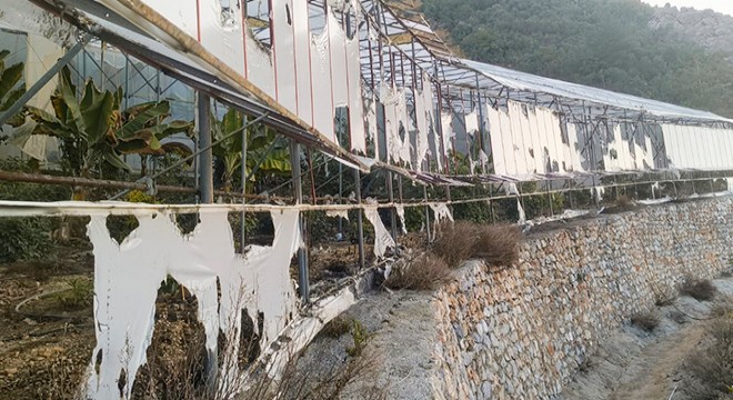 Antalya'da muz serasının kundaklanmasına 3 tutuklama