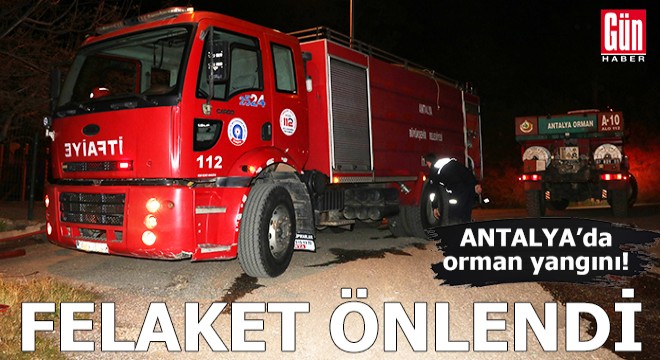 Antalya'da orman yangını! Felaket önlendi