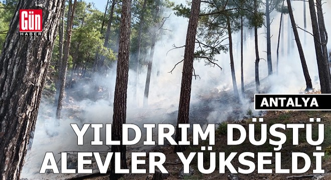 Antalya'da ormana yıldırım düştü, alevler yükseldi