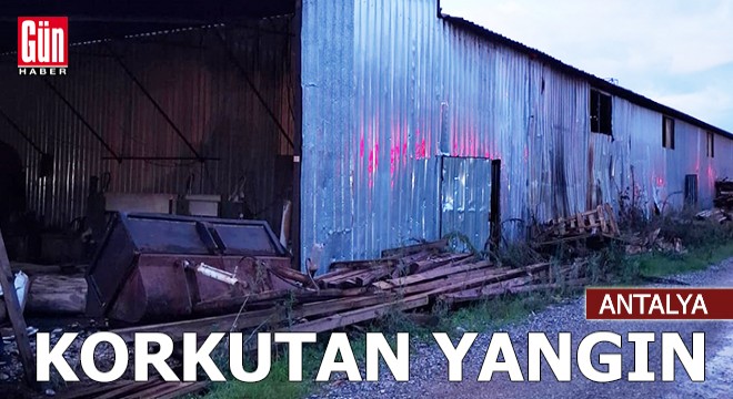 Antalya'da palet atölyesinde yangın