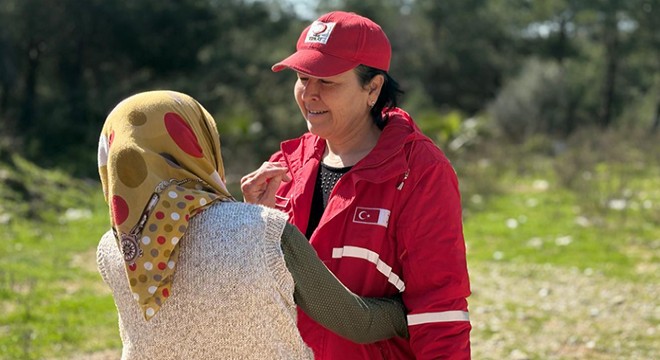 Antalya'da torunuyla yaşayan kadına yeni konteyner ev