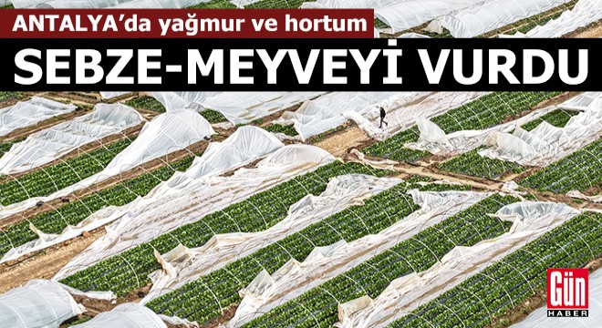 Antalya'da yağmur ve hortum, sebze-meyveyi vurdu