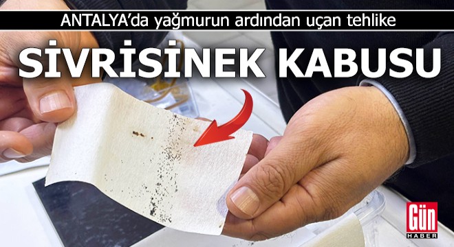 Antalya'da yağmurun ardından uçan tehlike
