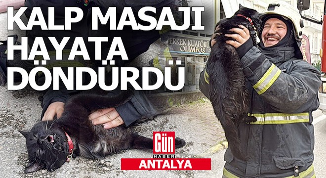 Antalya'da yangından kurtarılan kedi kalp masajı ile hayata döndü