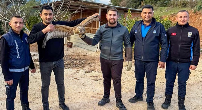 Antalya'da yaralı atmaca tedavi edilerek doğaya bırakıldı
