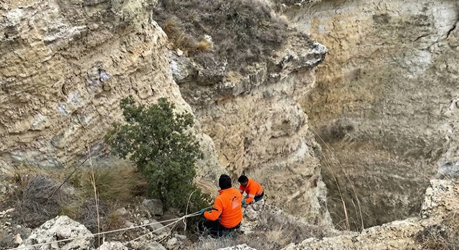 Avcılar, uçurumdan yuvarlanan köpeği kurtardı