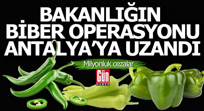 Bakanlığın 'Biber' operasyonu Antalya'ya uzandı