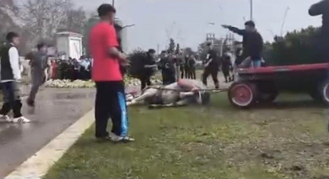 Bayram günü hayvana şiddet: Döverek atı bayılttı