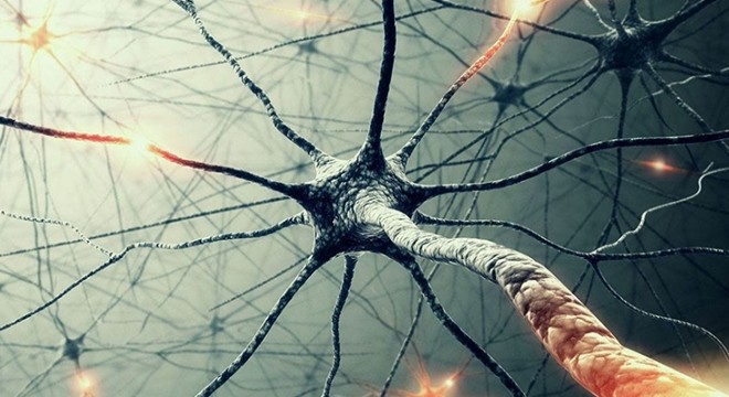Beyinle iletişim kurabilen yapay sinir hücreleri üretildi