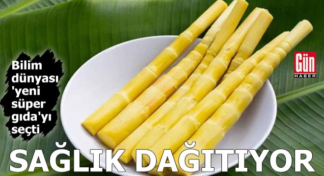 Bilim dünyası 'yeni süper gıda'yı seçti