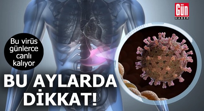 Bu virüs günlerce canlı kalıyor! Bu aylarda dikkat