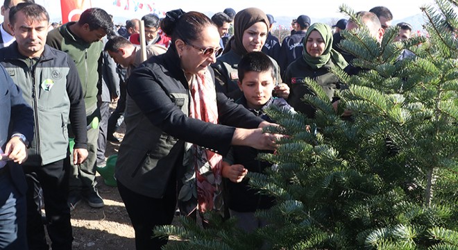 Burdur'da fidan dikimi