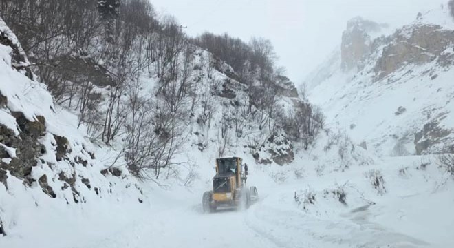 Çığ faciası: 3 çoban kar altında kaldı