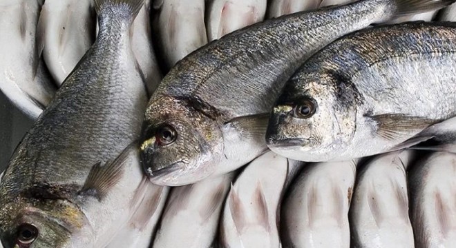 Çupra ile darp edildi, şikayetçi oldu