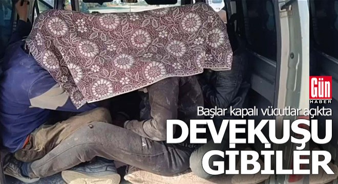 Devekuşu gibiler