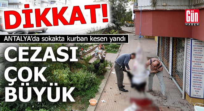 Dikkat! Antalya'da sokakta kurban kesen yandı