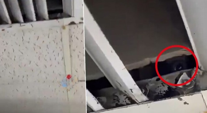 Düğün salonunda gizli kamera skandalı