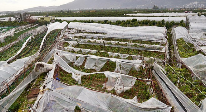 Finike'de zarar gören seralarda hasar tespiti başladı