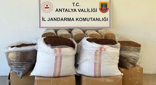 Gazipaşa'da kaçak tütün operasyonu