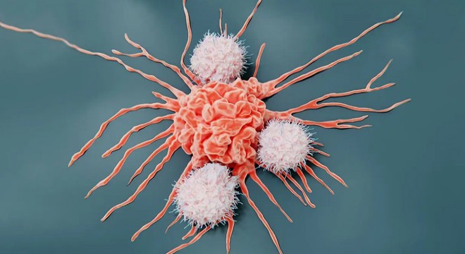 Gıda koruyucular kanser ve tip 2 diyabet riskini artırabilir