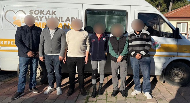 Hayvan dostu Kepez Belediyesi'nin çalışanlarına saldırı…