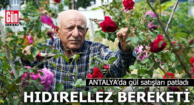 Hıdırellez bereketi: Antalya'da gül satışları patladı