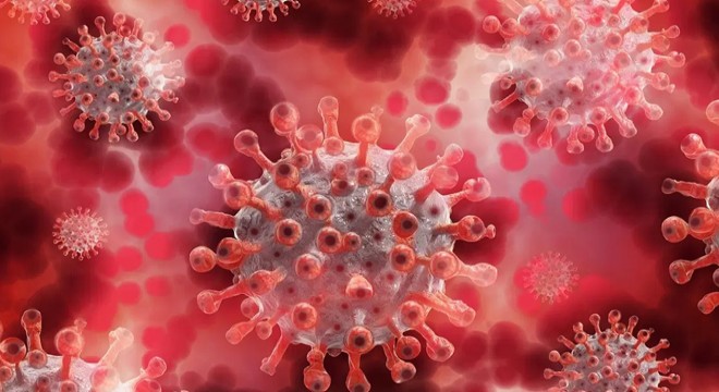 İnfluenza Türkiye'de yayılıyor