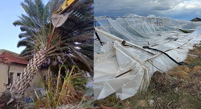 Kaş'ta fırtınadan seralar zarar gördü, ağaçlar devrildi