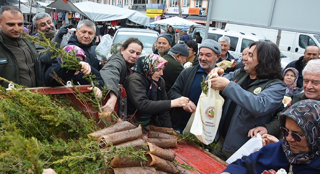 Korkuteli'de fidan dağıtımı