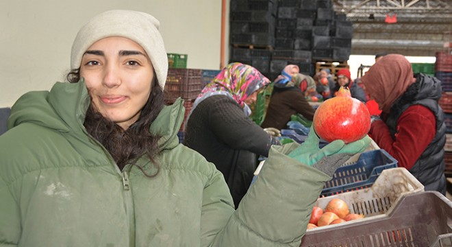 Korkuteli'den nar ihracatı başladı