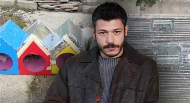 Kubilay Aka'dan sert çıkış: 'Kedileri kapanla toplamışlar'