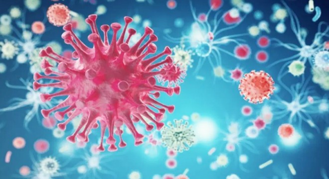 Küresel sağlık riskleri artıyor: 3 tehlikeli virüs