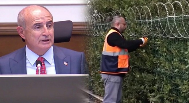Kuşları ve kedileri yaralayan jiletli teller kaldırılıyor