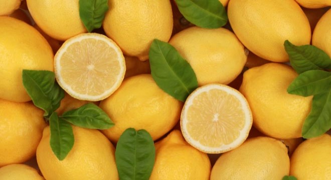 Limon ithalatında gümrük vergisi yeniden düzenlendi