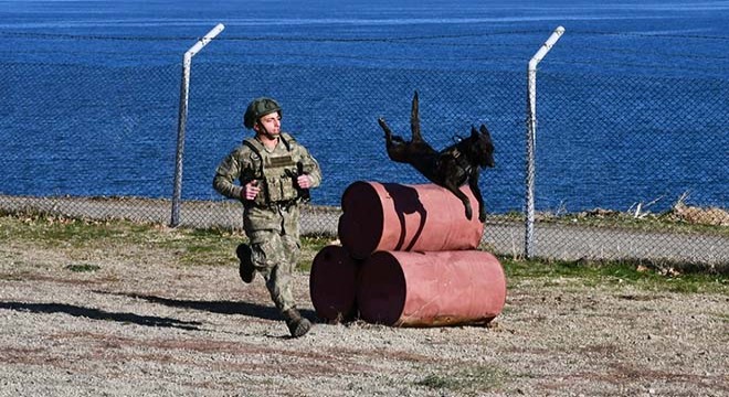 MSB'den Askeri Köpekli Tim eğitimi paylaşımı