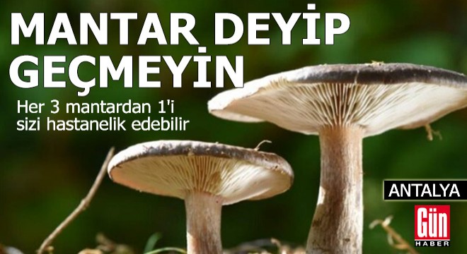 Mantar deyip geçmeyin: Her 3 mantardan 1'i sizi hastanelik edebilir