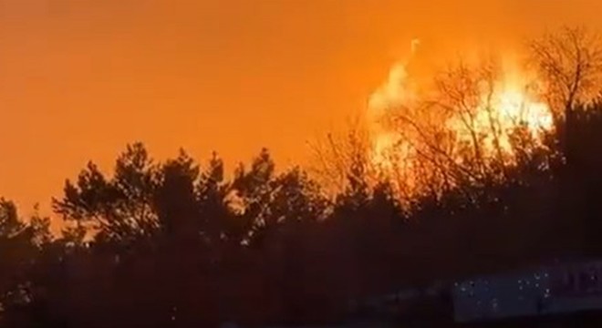 Rusya'da doğal gaz boru hattında patlama