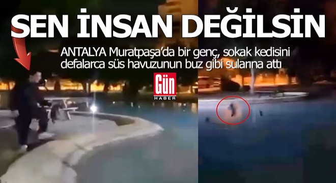 Sen insan değilsin... Muratpaşa'da kediye havuz zulmü...