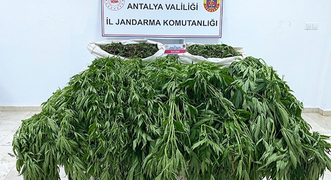 Serik'te uyuşturucu operasyonu: 1 tutuklu